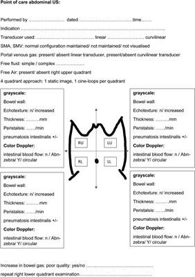 Neonatologist-performed point-of-care abdominal ultrasound: What have we learned so far?